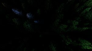 Photo by Geran de Klerk