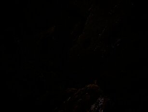 Cheers For The Years, by Felix Russell-Saw