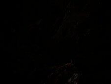 Cheers For The Years, by Felix Russell-Saw