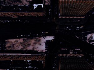 Photo by Nikita Maru