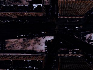 Photo by Nikita Maru