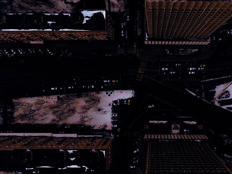 Photo by Nikita Maru