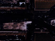 Photo by Nikita Maru