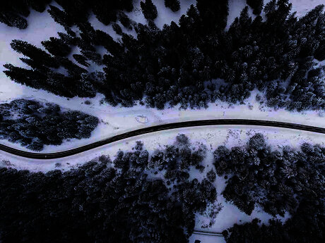 Bird eye’s view!, by Kimon Maritz